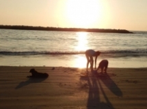 Imagen Caída de sol